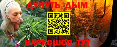 индика Краснознаменск