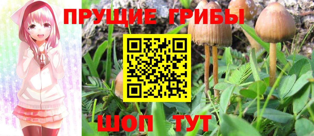 Псилоцибиновые грибы Magic Shrooms Клинцы