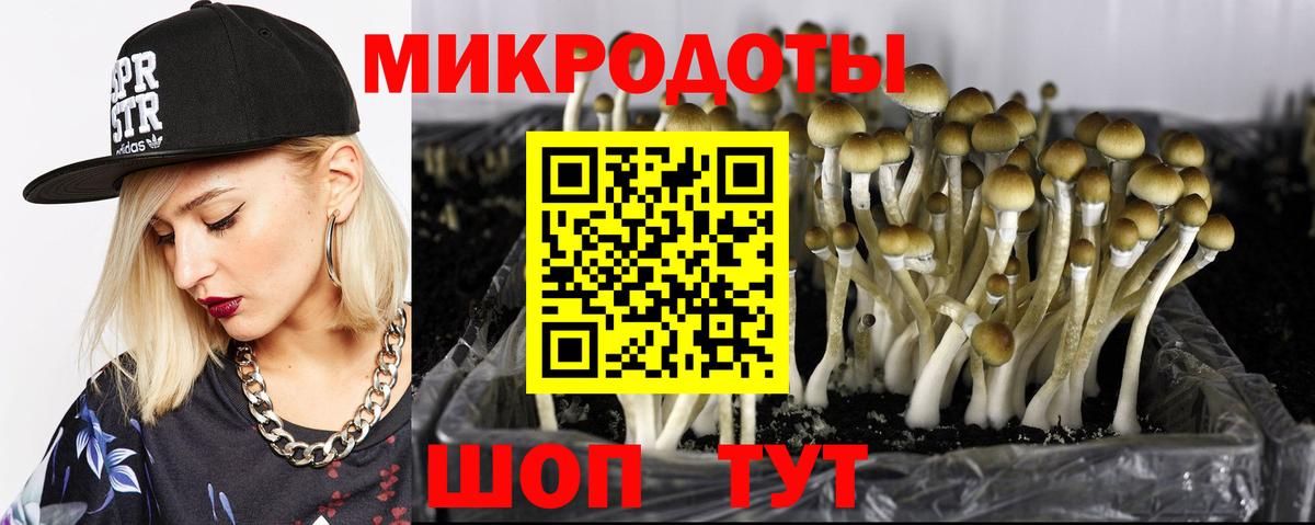 Галлюциногенные грибы Psilocybe  Вход с VPN  Псилоцибиновые грибы ЛСД  Клинцы 